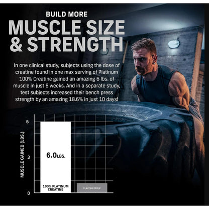 Low Cost PH | MuscleTech Essential Series Platinum 100% Creatine 400g