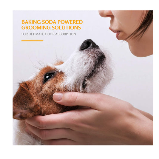 USAOnhand| Arm & Hammer, 2-In-1 Shampoo & Conditioner For Pets, Cucumber Mint, 20 fl oz (591 ml)