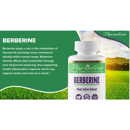 LOwCostPh | Paradise Herbs, Berberine Extract, 60 | 180 Vegetarian Capsules