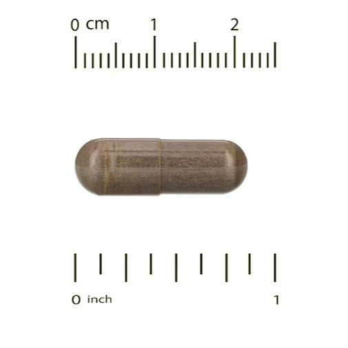 LowCostPH| California Gold Nutrition, Bee Propolis 2X, Concentrated Extract, 500 mg, 240 Veggie Caps