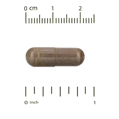LowCostPH| California Gold Nutrition, Bee Propolis 2X, Concentrated Extract, 500 mg, 240 Veggie Caps
