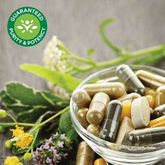 LowCostPH | Swanson, Ginkgo with Vinpocetine, Standardized, 60 Capsules, Cognitive and Memory Health