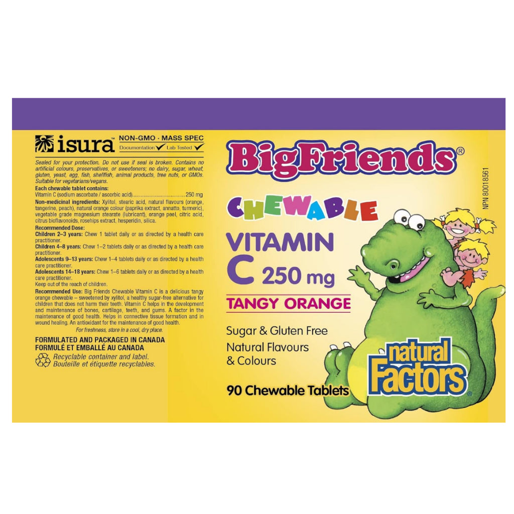 LowCostPH | Natural Factors, Big Friends, Vitamin D3, Multi-Vitamin & Minerals, Vitamin C, Magnesium