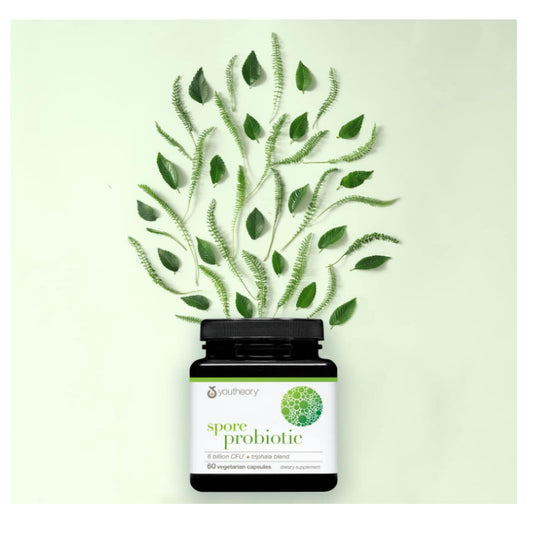 LowCost PH| Youtheory Spore Probiotic - 6 Billion CFU Probiotic Resists Stomach Acid Breakdown