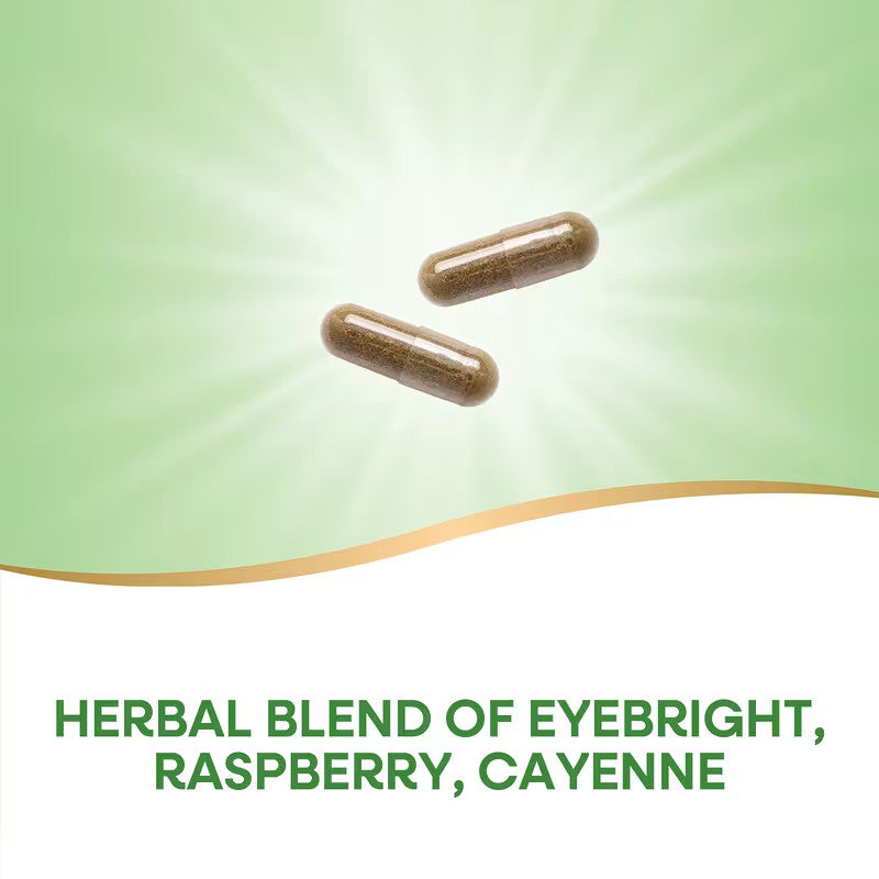 USA Supplements | Nature's Way, Eyebright, Herbal Blend, 100 Vegan Capsules ( Eye Comfort Support )