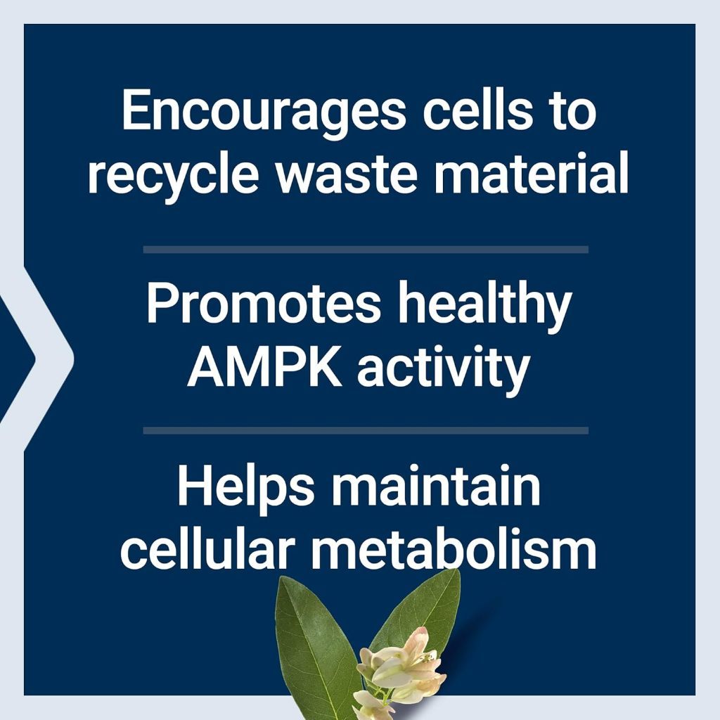 USA Supplements | Life Extension, Geroprotect®, Autophagy Renew ( Brain & Cognitive Support )