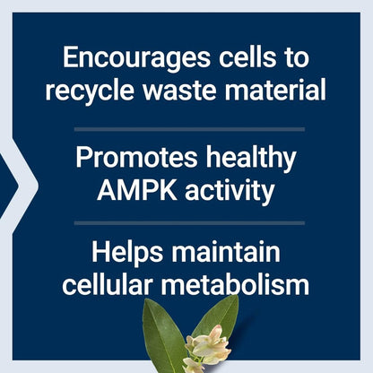 USA Supplements | Life Extension, Geroprotect®, Autophagy Renew ( Brain & Cognitive Support )