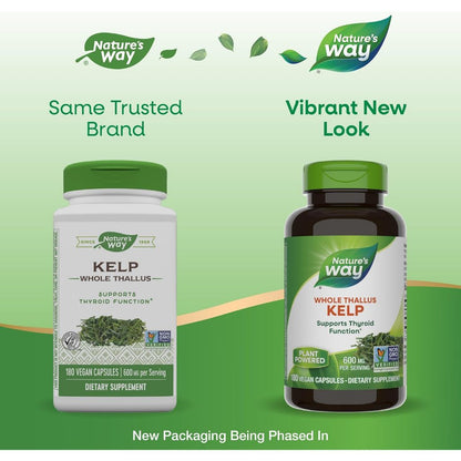 Nature's Way, Kelp, Whole Thallus ( Thyroid Support, Metabolic & Energy Support )
