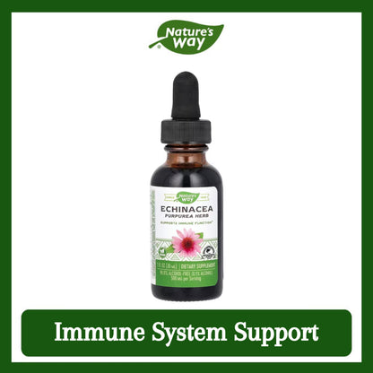Nature's Way, Echinacea, 500 mg, 1 fl oz ( Immune System Support & Antioxidant Protection )