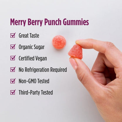 LittleSunshine | Nordic Naturals, Kids Probiotic Gummies, Great Berry, Supports Digestive Wellness