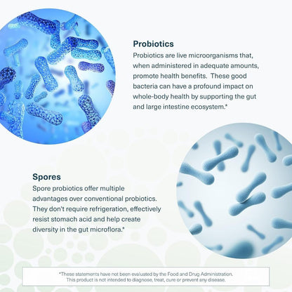 USA Supplements | Youtheory, Spore Probiotic + Triphala Blend ( Promotes Healthy Gut Flora )