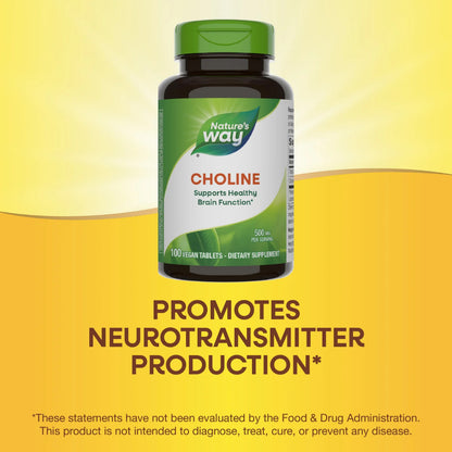 Nature's Way, Choline ( Enhances Liver, Supports Brain & Cognitive Function )