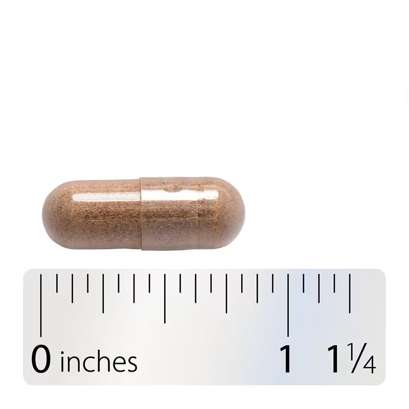 USA Supplements | Nature's Way, Dong Quai Root ( Supports Women’s Hormonal Balance )