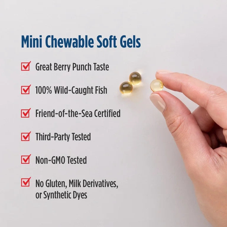 USA Supplements | Nordic Naturals, Children's DHA™ Xtra, 90 Mini Chew Soft Gels ( Brain Health )
