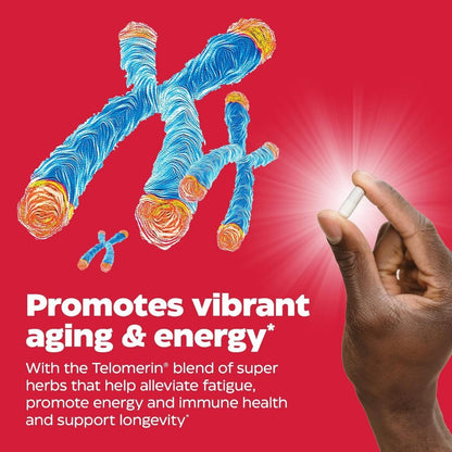 USA Supplements | Enzymedica, Telomere Plus ( Supports Cellular Health and Longevity )