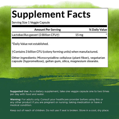 HealthilyYou | Swanson, Lactobacillus Gasseri, 3 Billion CFU, 60 Vegan DRcaps Digestive Health