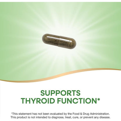 USA Supplements | Nature's Way, Whole Thallus Kelp, 100 Capsules ( Thyroid & Metabolic Support )