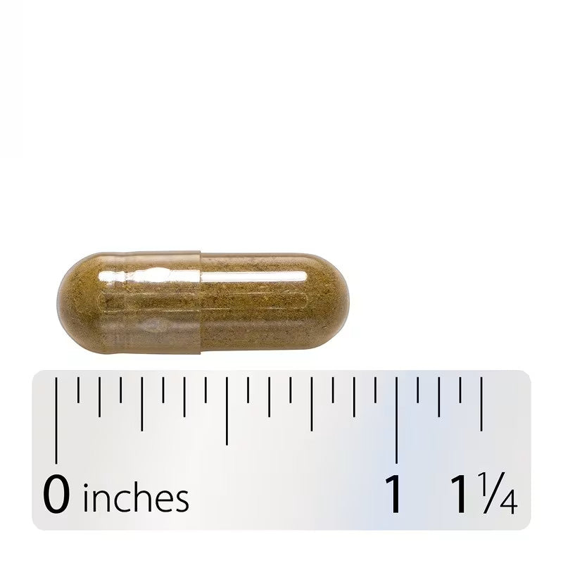USA Supplements | Nature's Way, Damiana Leaves ( Mood and Relaxation Support )