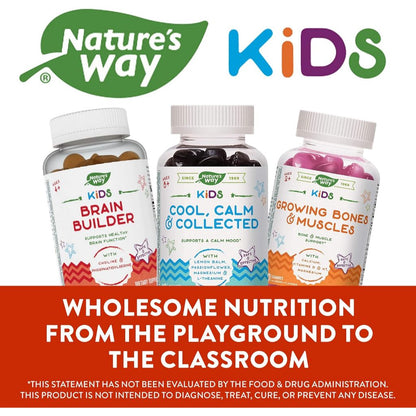 Nature's Way, Kids Brain Builder ( Children's Brain & Cognitive Support )
