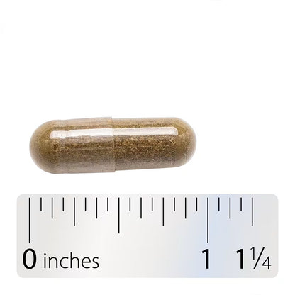 USA Supplements | Nature's Way, Eyebright, Herbal Blend, 100 Vegan Capsules ( Eye Comfort Support )