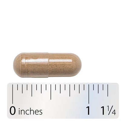 USA Supplements | Nature's Way, Dandelion Root, 100 Vegan Capsules ( Supports Healthy Digestion )