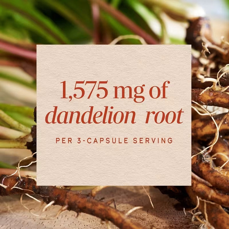 USA Supplements | Nature's Way, Dandelion Root, 100 Vegan Capsules ( Supports Healthy Digestion )
