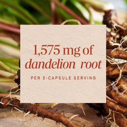 USA Supplements | Nature's Way, Dandelion Root, 100 Vegan Capsules ( Supports Healthy Digestion )