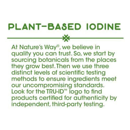 LowCostPH | Nature's Way, Bladderwrack, 580 mg, 100 Vegan Capsules plant-based to supplements.