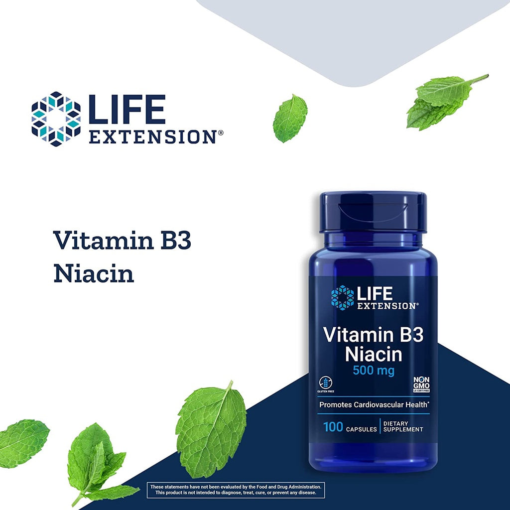 LowCostPH | Life Extension, Vitamin B3 Niacin, 500 mg, 100 Capsules